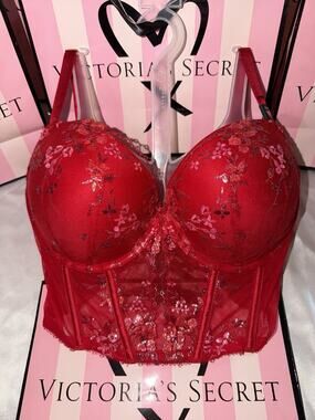 Victorias Secret Push Up Bra Corset Very Sexy Clubbing Top 34DD Shimmer